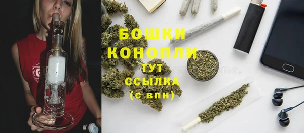 крисы Богородск