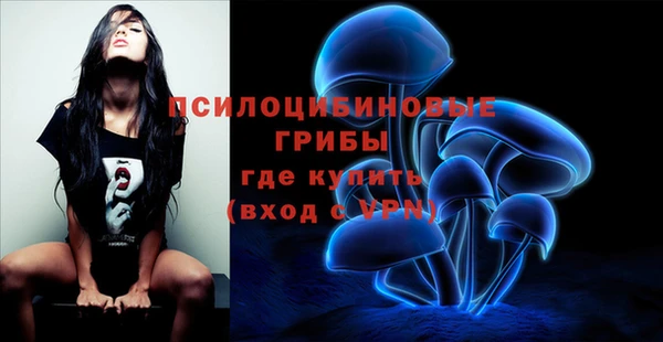 трава Баксан
