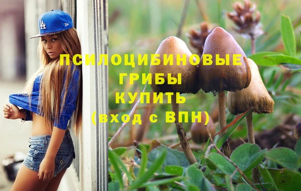 меф Белокуриха