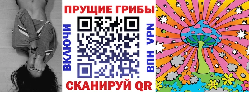 Псилоцибиновые грибы мицелий  где купить наркоту  Бутурлиновка 